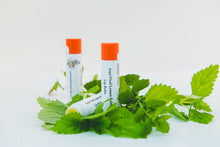 Load image into Gallery viewer, Anti-Viral Lip Balm