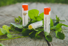 Load image into Gallery viewer, Anti-Viral Lip Balm