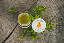 Load image into Gallery viewer, Little Chickie Diaper Salve