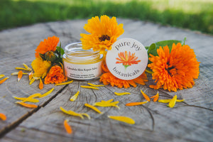 Calendula Skin Repair Salve