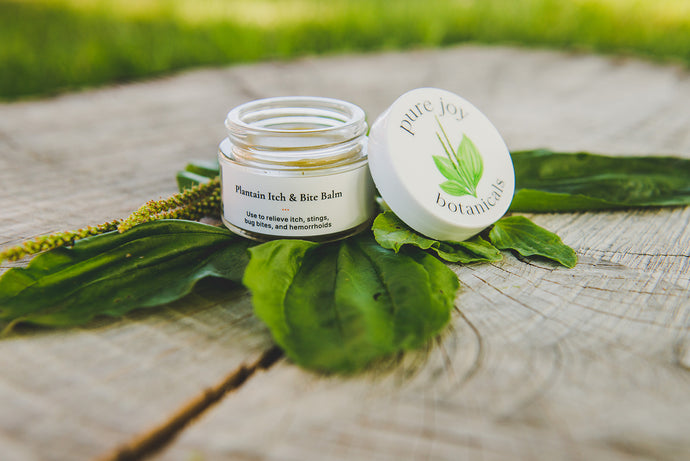 Plantain Itch & Bite Balm