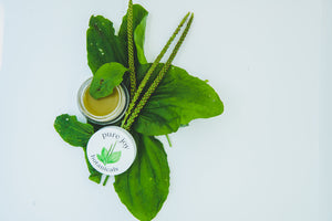 Plantain Itch & Bite Balm